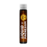 Magneziu lichid GoldNutrition 1 fiola