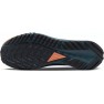 Pantofi alergare trail barbati Nike PEGASUS TRAIL 4 GORE-TEX Alligator/Mint Foam FW'22