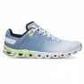 Pantofi alergare dama ON Cloudflow Niagara/Meadow SS'22