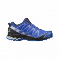 Salomon Pantofi Alergare Barbati XA PRO 3D v8 GTX Albastru